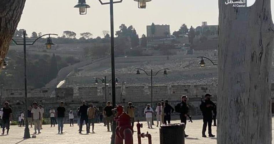 Over 400 fanatic Jewish settlers defile Aqsa Mosque