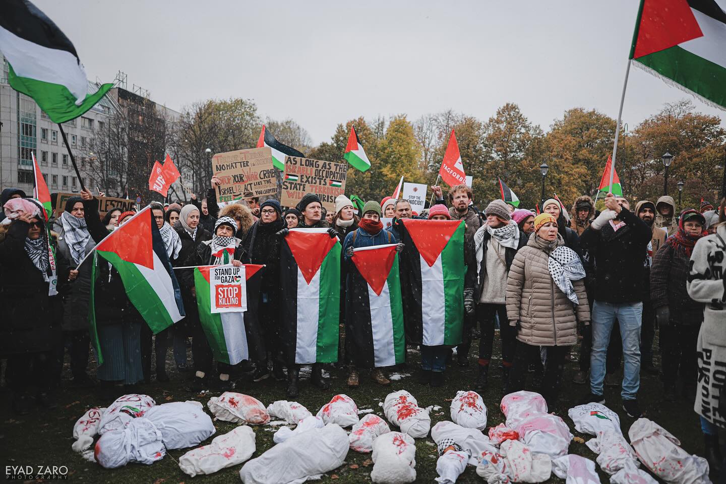 Photos Rally In Support Of Palestine In A Cold And Snowy Weather Of   Ce57de0c Ff98 4baf 8533 8963ec4d2f93 